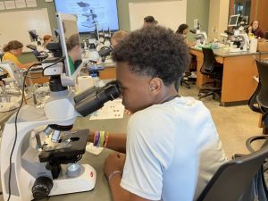 Morgantown business Apis Creative wins $260K NIH grant